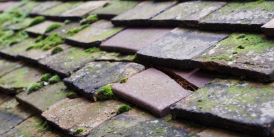 Stagsden roof repair costs